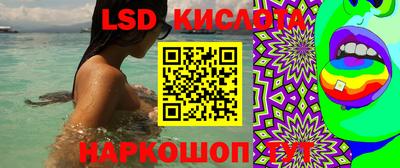 эйфоретик Новодвинск