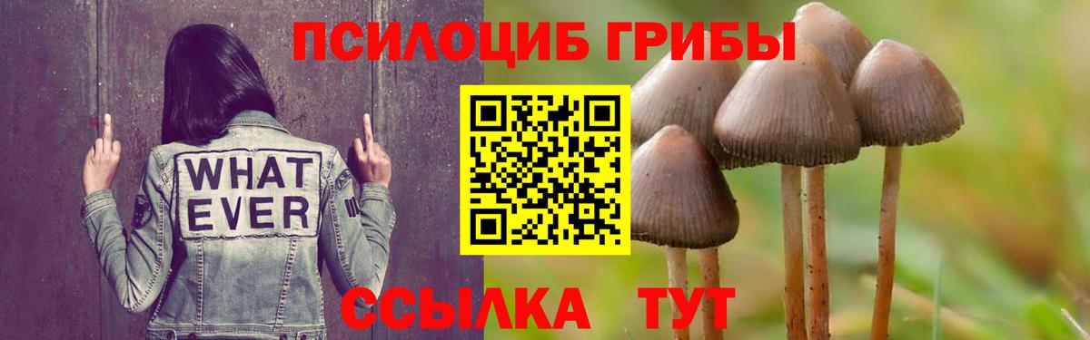 Псилоцибиновые грибы Psilocybe  Вход с VPN  Галлюциногенные грибы прущие грибы  Саранск 