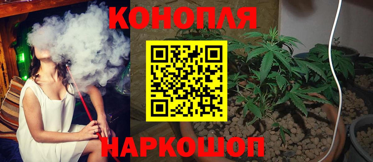 Бошки марихуана планчик  Канабис сатива  Вход с VPN  Саранск  Марихуана LSD WEED 